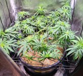 20220626_122057.jpg 20220626_122057.jpg