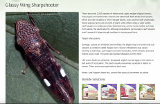 Screen Shot 2022-06-27 at 12.58.33 PM.png