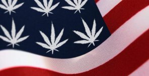 pusa (2018_04_18 01_24_33 UTC).jpg