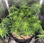 20220701_165818.jpg 20220701_165818.jpg