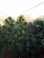 WhatsApp Image 2021-12-23 at 3.30.59 PM.jpg