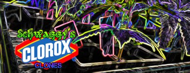 clorox clones effected.jpg