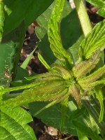 20220731_104344.jpg