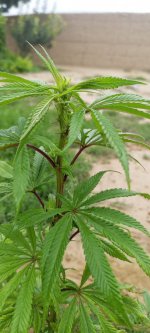 WhatsApp Image 2022-07-28 at 9.32.16 AM.jpeg