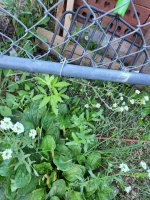 20220802_070706.jpg