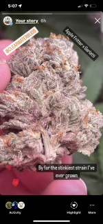 77BF5B06-68D2-4261-9E2E-913CB2ED010F.png 77BF5B06-68D2-4261-9E2E-913CB2ED010F.png