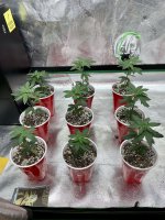 06867177-6692-4DC0-9D3B-37570D8F5658.jpg 06867177-6692-4DC0-9D3B-37570D8F5658.jpg