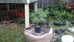 20200601_064541.jpg