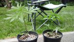 20200606_142828.jpg