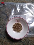 BWxNS seeds_20200606.jpg