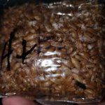 20200609_224724.jpg 20200609_224724.jpg