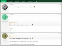 JS, or #1.jpg