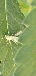 20220815_151127-0.jpg 20220815_151127-0.jpg