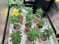 75A66C6C-7B73-49C3-8B64-A917F4560E69.jpg 75A66C6C-7B73-49C3-8B64-A917F4560E69.jpg