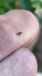 20220823_095256.jpg 20220823_095256.jpg