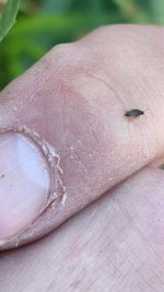 20220823_095304.jpg 20220823_095304.jpg