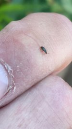 20220823_095309.jpg 20220823_095309.jpg