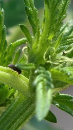 20220823_095628.jpg 20220823_095628.jpg