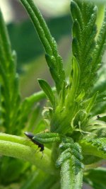 20220823_095630.jpg 20220823_095630.jpg