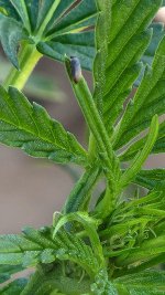 20220823_100229.jpg 20220823_100229.jpg