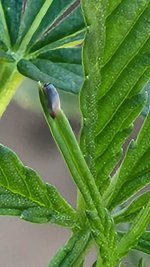 20220823_100244.jpg 20220823_100244.jpg