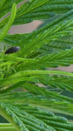 20220823_100217.jpg 20220823_100217.jpg