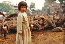 Kathmandu Girl with Vultures.jpg