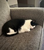 D772FC3A-DDCB-4573-9440-00718B98CF5B.jpeg D772FC3A-DDCB-4573-9440-00718B98CF5B.jpeg