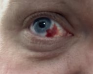 300375E0-8D78-4E15-AD3C-06A95F4DF10C.jpeg 300375E0-8D78-4E15-AD3C-06A95F4DF10C.jpeg