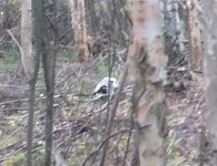 hunt 2 nuthin.jpg