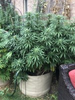 IMG_4884.JPG IMG_4884.JPG