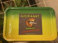 7E26D821-0745-4E33-B760-5AB3A6E6946A.jpeg 7E26D821-0745-4E33-B760-5AB3A6E6946A.jpeg