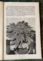 PurI06.jpg PurI06.jpg