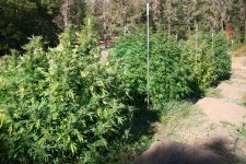 IMG_3504.JPG IMG_3504.JPG