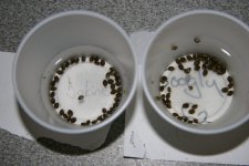 IMG_3514.JPG IMG_3514.JPG