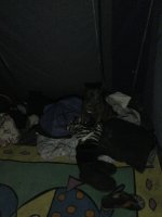 3E7B65A7-5659-465C-B068-58EEBCB59B45.jpeg