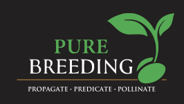 Pure Breeding Logo.png