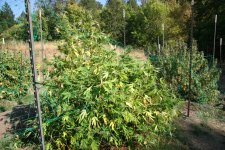 IMG_3548.JPG IMG_3548.JPG