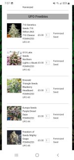 Screenshot_20220928-190719_Samsung Internet.jpg