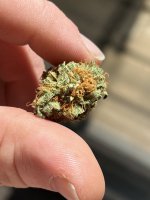 E3C5927E-8B2A-4C9E-B204-B77D02A00863.jpeg E3C5927E-8B2A-4C9E-B204-B77D02A00863.jpeg