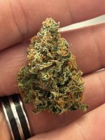 423226AD-94D6-44BE-9B27-0CD5F151EF23.jpeg 423226AD-94D6-44BE-9B27-0CD5F151EF23.jpeg