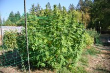 IMG_3557.JPG IMG_3557.JPG