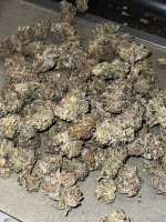 IMG_9073.JPG IMG_9073.JPG