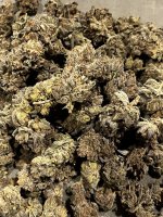 IMG_9084.JPG IMG_9084.JPG