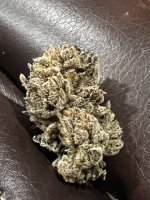 IMG_9082.JPG IMG_9082.JPG