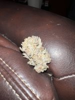 IMG_9078.JPG IMG_9078.JPG