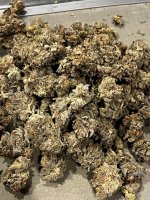 IMG_9057.JPG IMG_9057.JPG