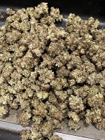 IMG_9091.JPG IMG_9091.JPG