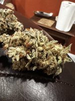 IMG_9104.JPG IMG_9104.JPG