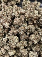 IMG_9095.JPG IMG_9095.JPG